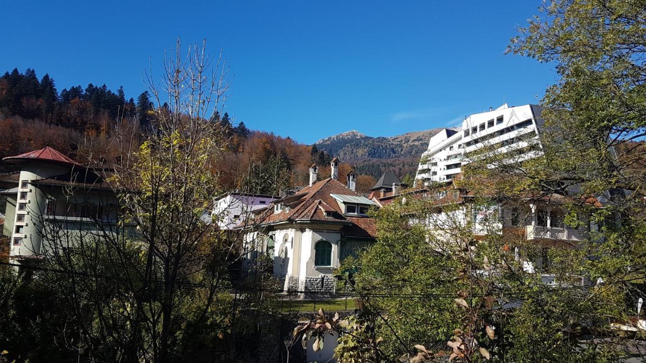 Hotel Pensiunea Casa Noastra Sinaia Exterior foto